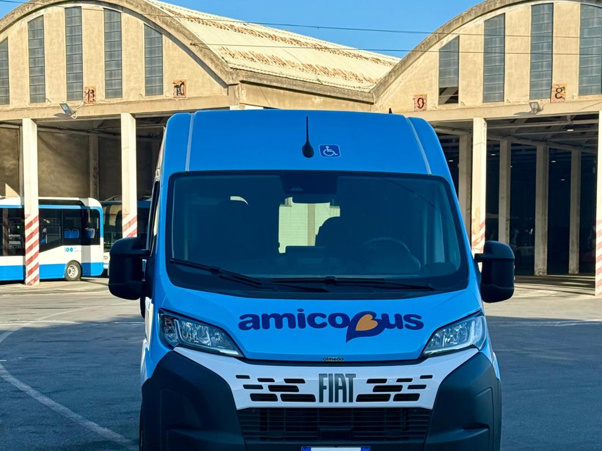 Amicobus